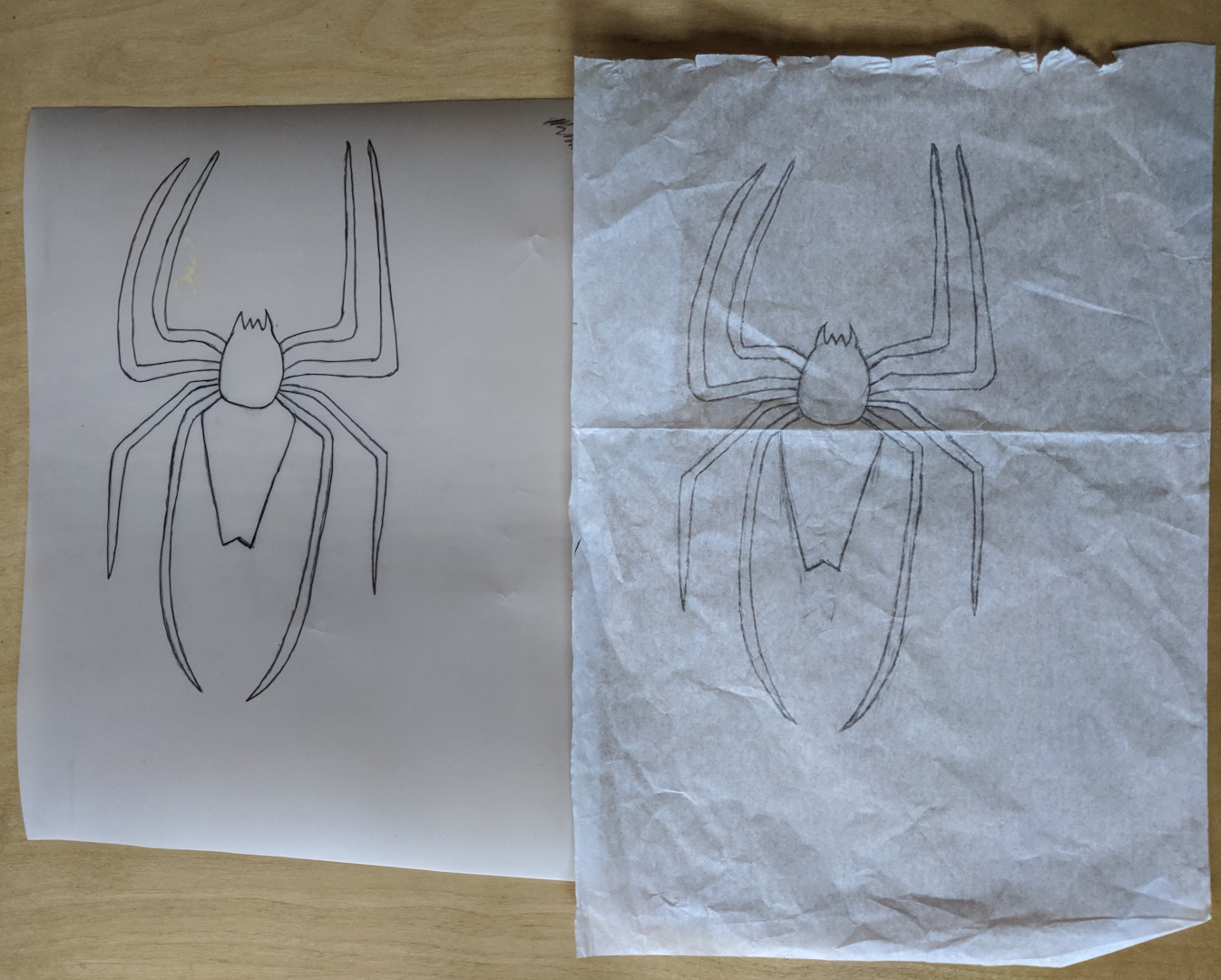 Spiderman logo drawing