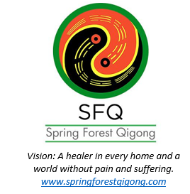 sfqlogowithvision.png