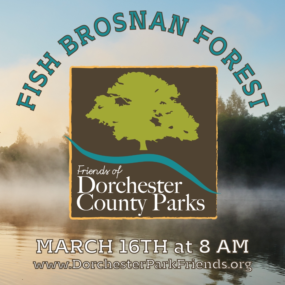 Logo Fish Brosnan Forest 2019