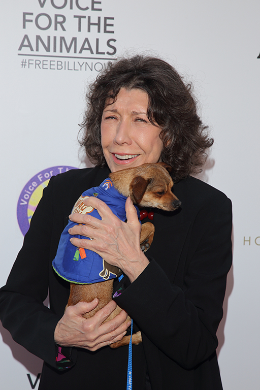 Lily Tomlin with rescue dog