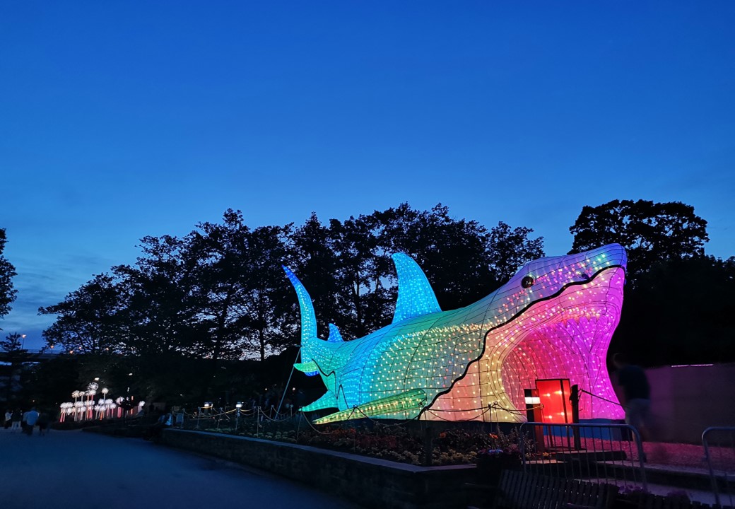 moonlight_forest_chinese_lantern_festival