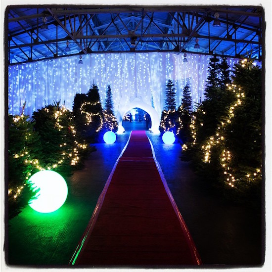 The Guardsmen Tree Lot Party