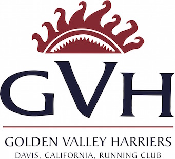 GVH logo small