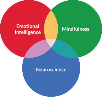 Mindfulness,Neuroscience Emotional Intelligence