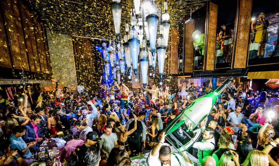 lavo5.jpeg