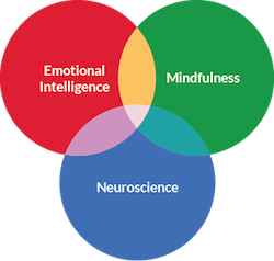 SIY = Emotional Intelligence + Mindfulness + Neuroscience