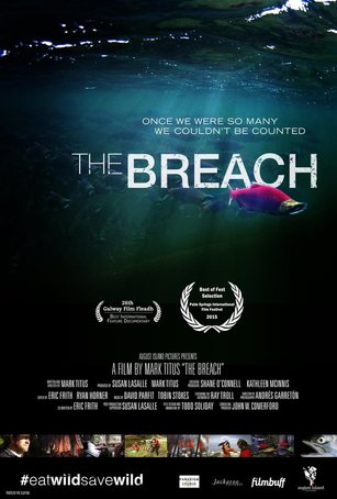 Poster image for the film "The Breach"