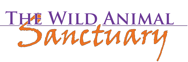 A text-only logo for The Wild Animal Sanctuary