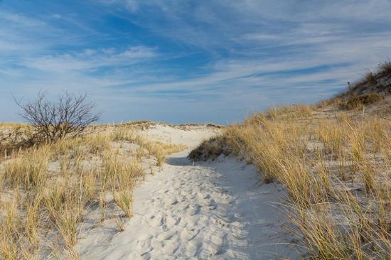 Crane Beach Entry And Parking Tickets Sat May 30 2020 At 8 00 Crane Beach Entry And Parking Tickets