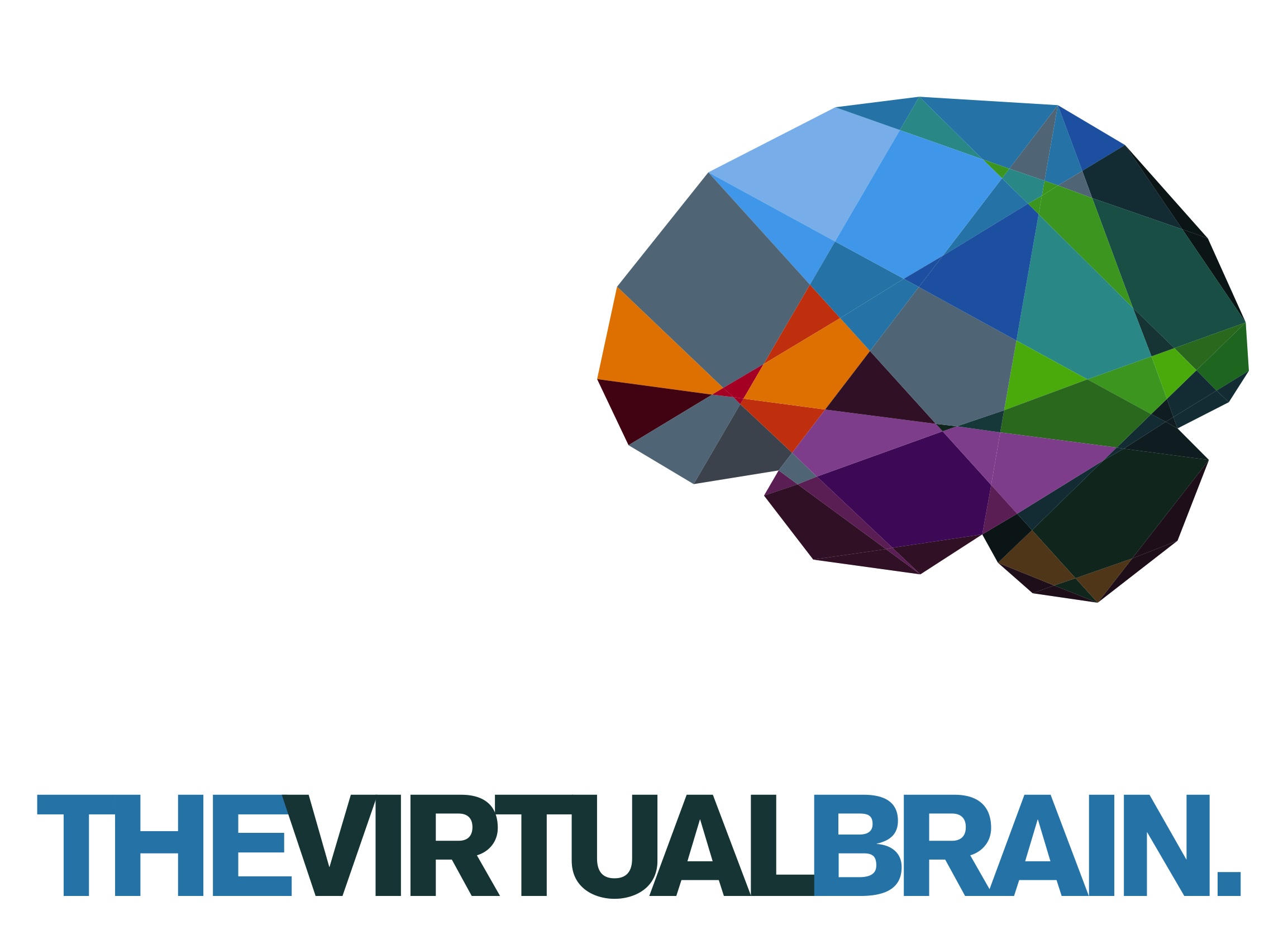 The Virtual Brain
