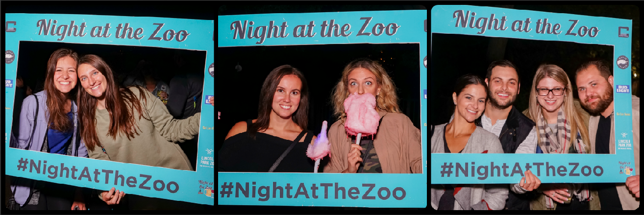 Night at the Zoo Picture Collage