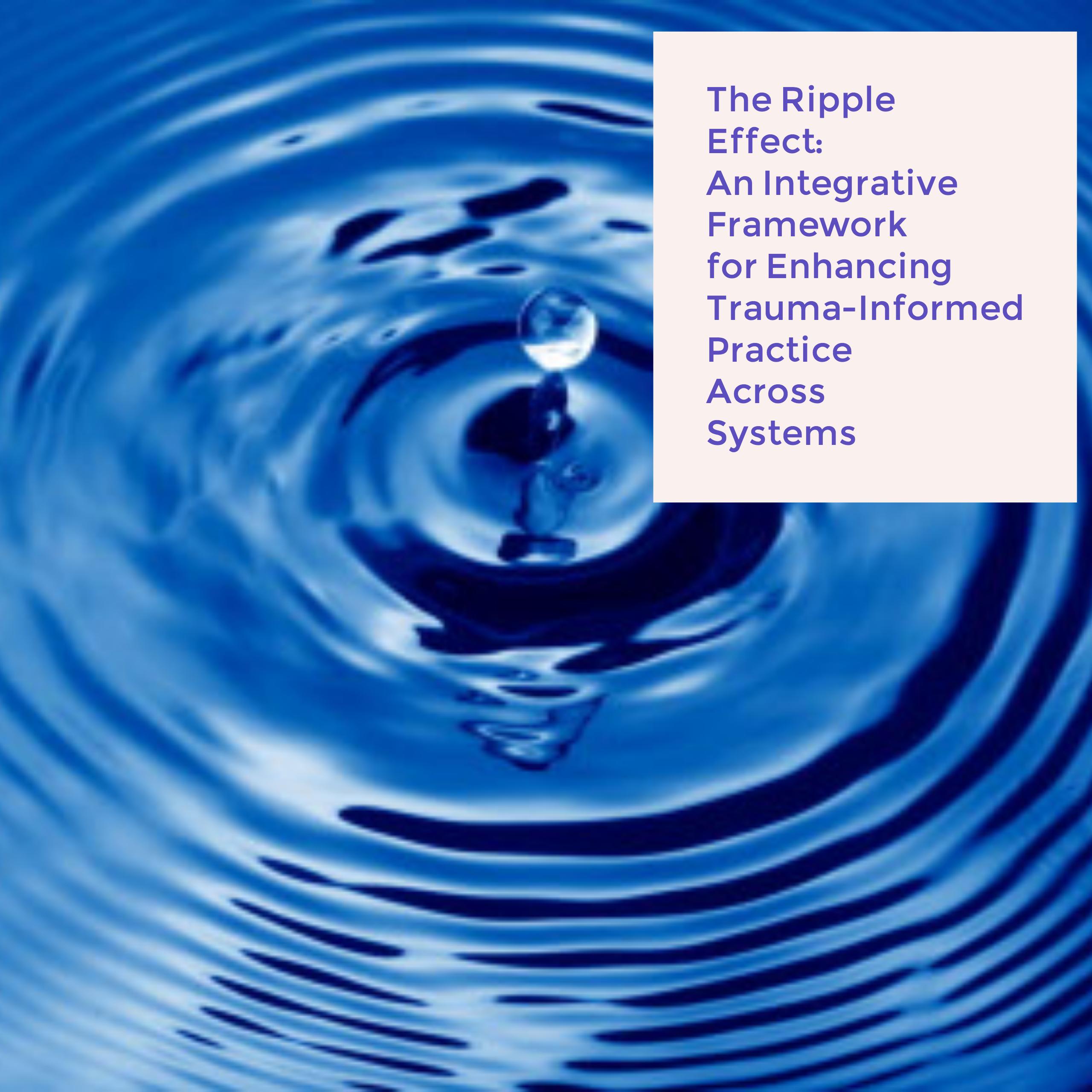 NEW! Case Management: Trauma Informed Care - The Ripple Effect: Enhancing Trauma Informed 