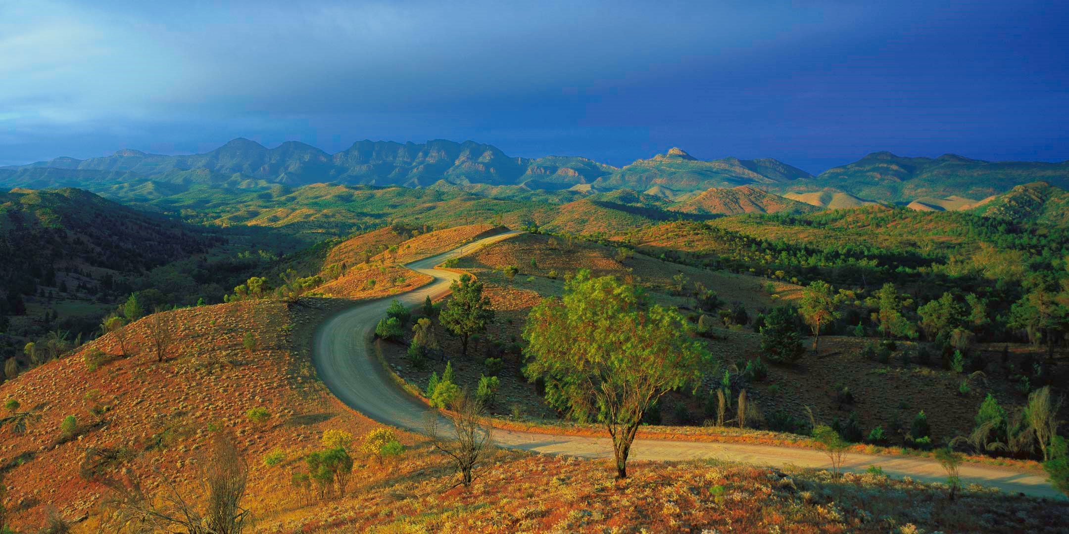 Flinders Ranges Arkaroola Photography Tours Wilpena