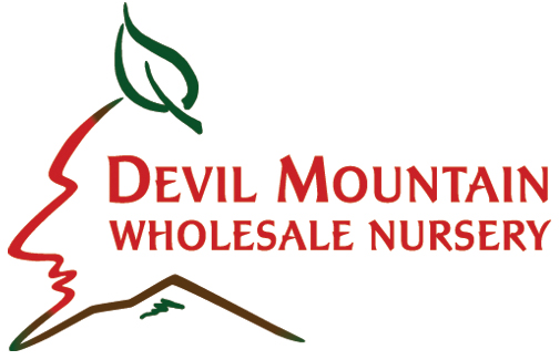 Devil Mountain Whole Sale Nursery