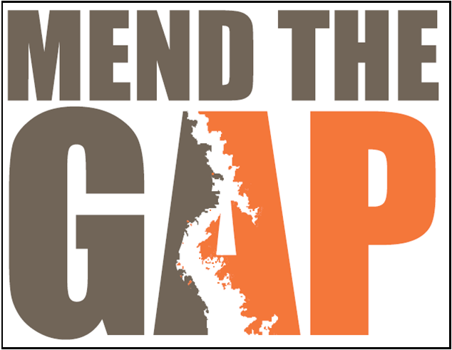 Mend the Gap image