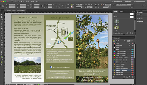 Image result for adobe indesign