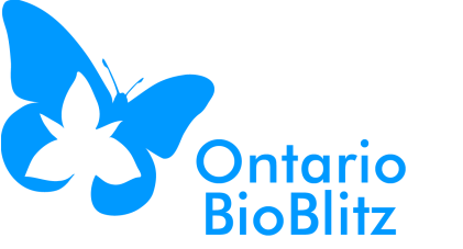 Ontario BioBlitz Logo