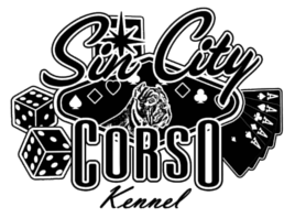 WCG - Sin City Corso