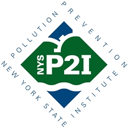 NYSP2I Logo