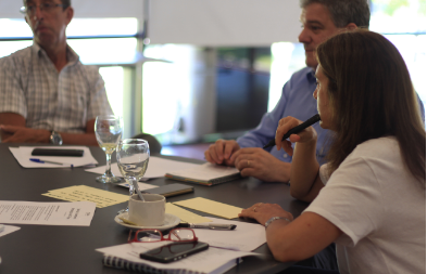 Grupo de trabalho em sessão facilitada