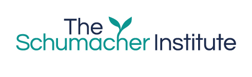 Schumacher Institute logo