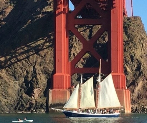 Sailing Nature Tour Under Golden Gate Bridge