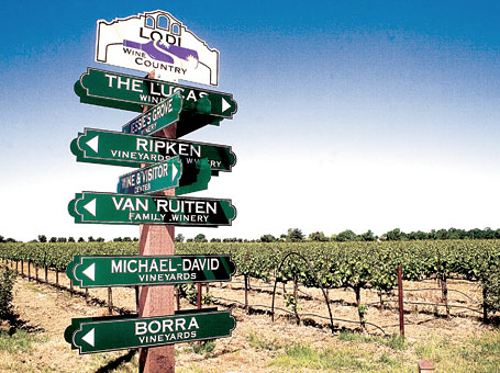 Lodi-wine-tasting-tour