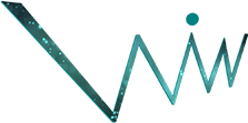 Women's Irish Network Logo