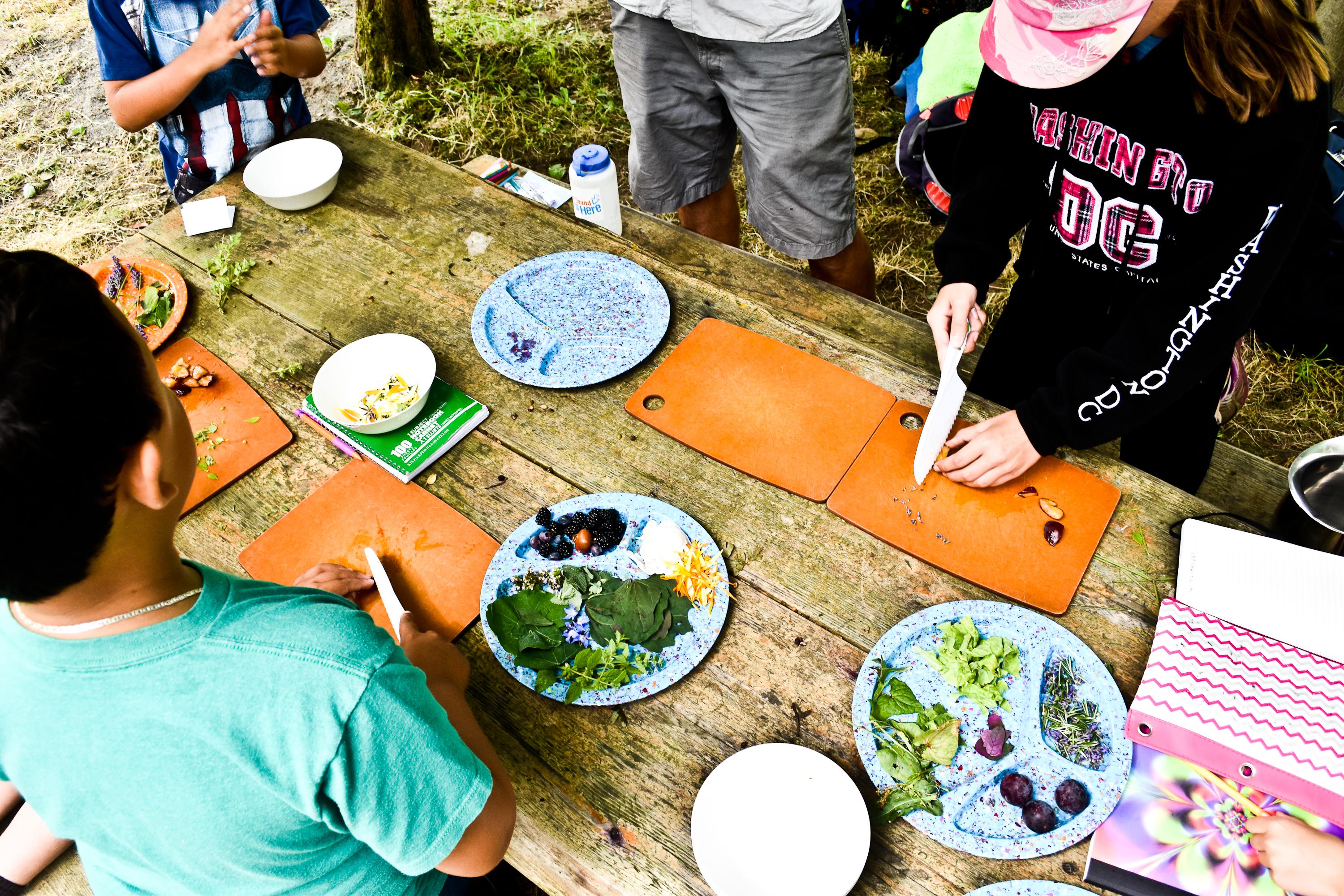 21 Acres Summer Camp: Seed to Fork (Ages 9-12)
