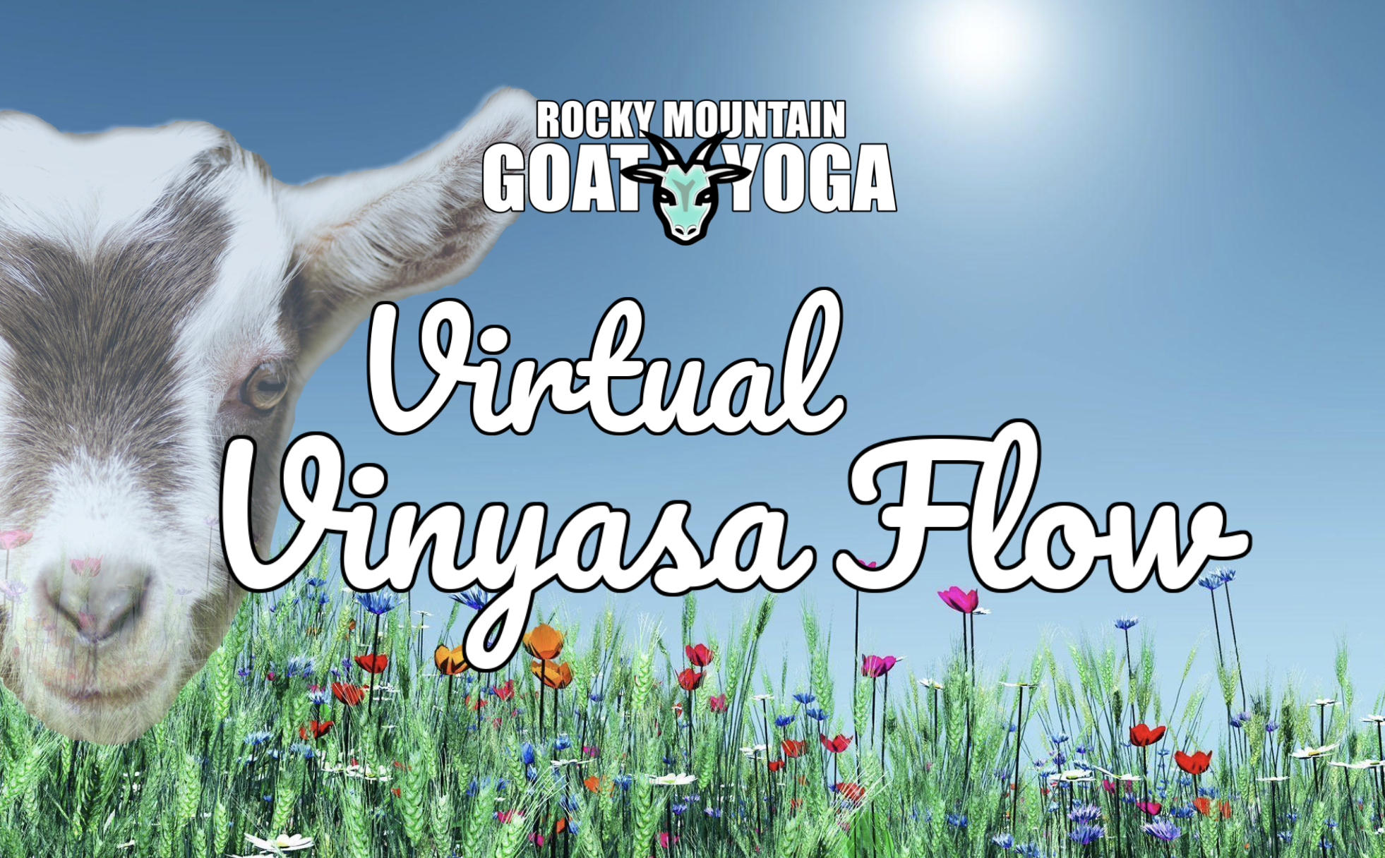 Virtual Vinyasa Flow - May 31st (ONLINE EVENT)