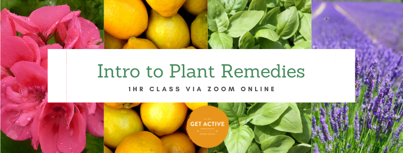 Introduction to Plant Remedies
