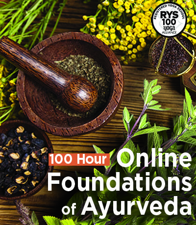 Online 100 Hour Ayurveda Immersion (regular)