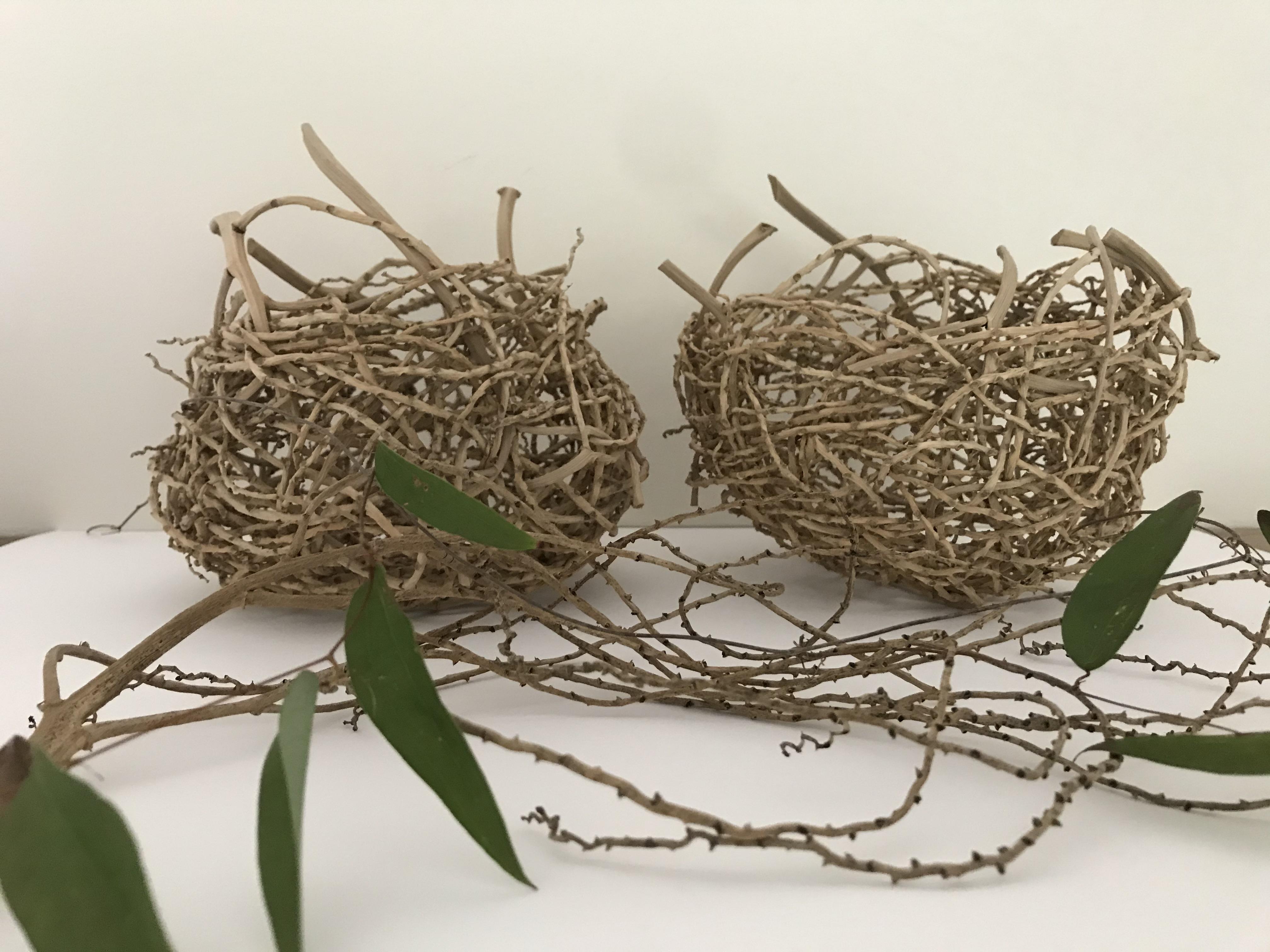 Weaving Circle -Random Weave With Bangalow Palm Inflorescence