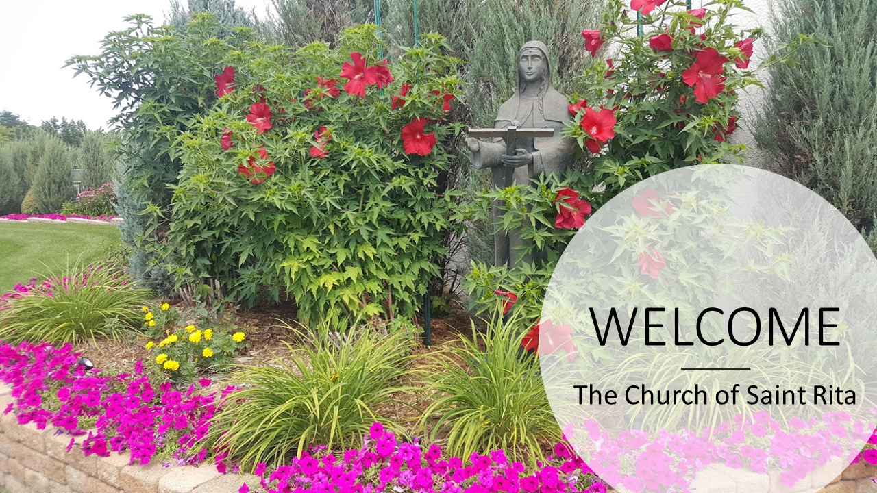 Sign up for Daily Mass - Wednesday, June 3
