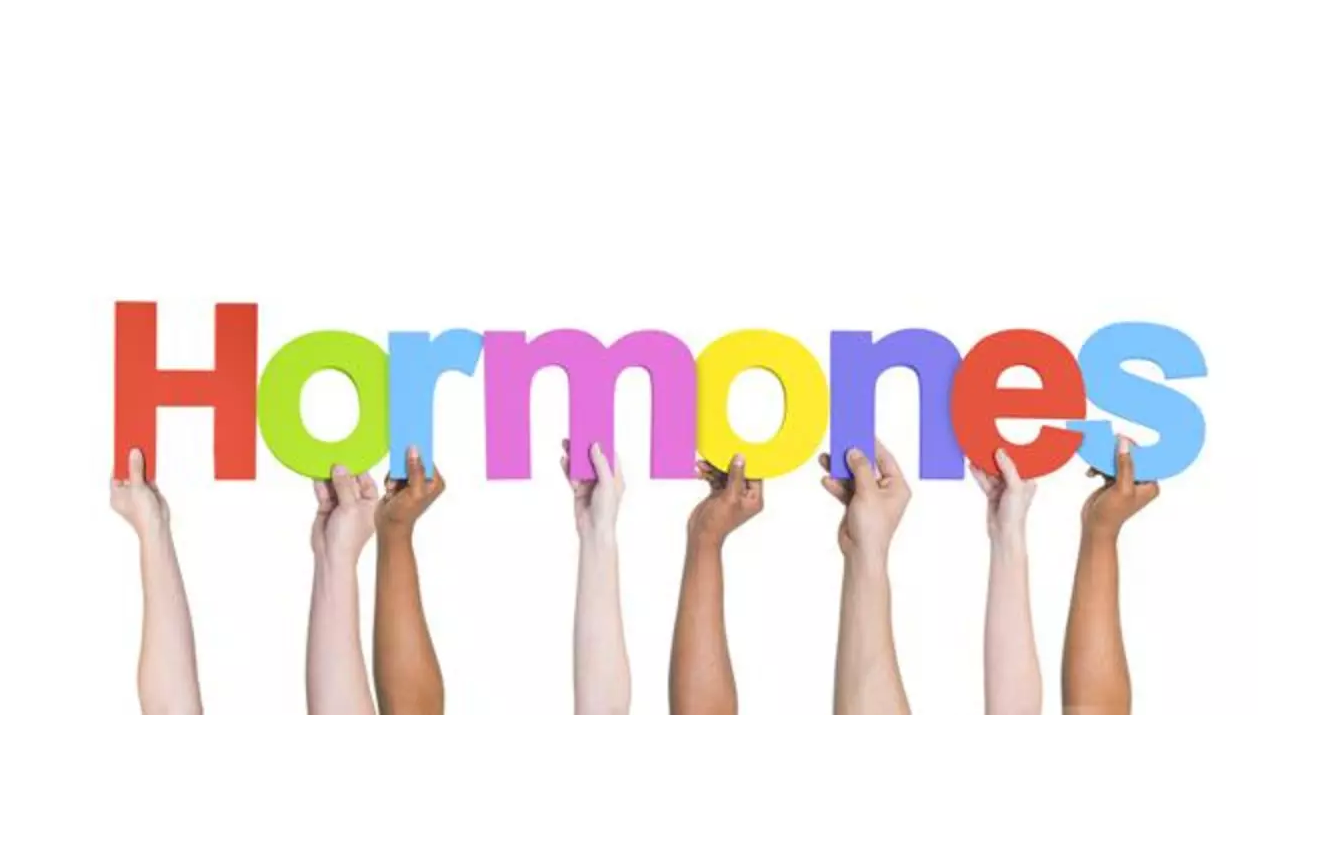 Live Webinar: Balancing Hormones & Boosting Health