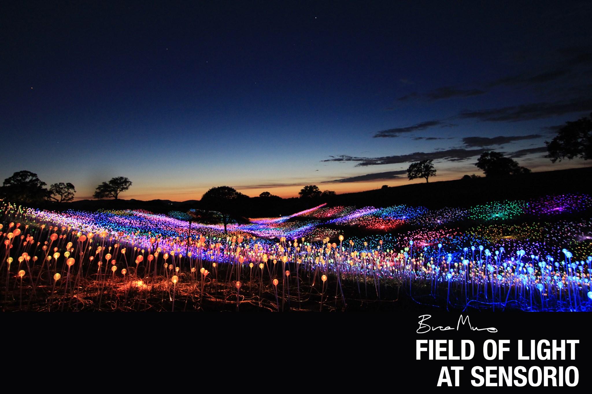 Bruce Munro: Field of Light at Sensorio, Thursday FAMILY NIGHT July 16th