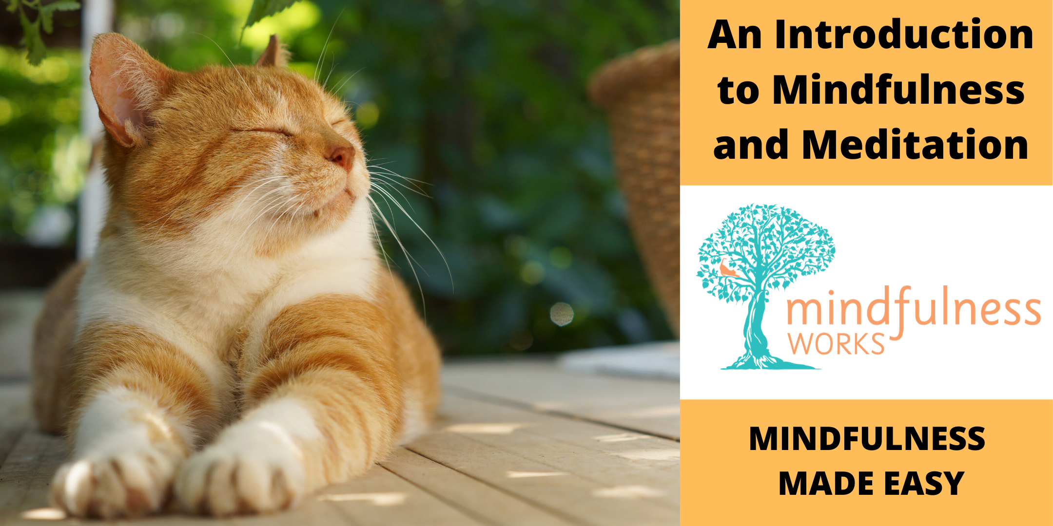 An Introduction to Mindfulness and Meditation 4-week Course  Cairns