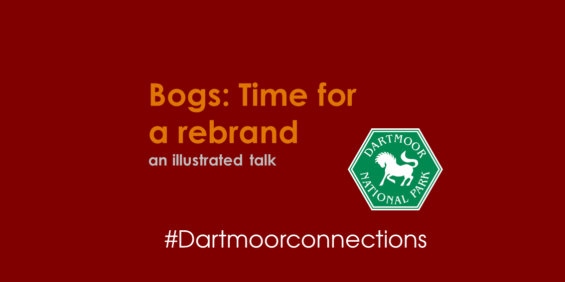 Dartmoor Connections- Bogs: Time for a rebrand?