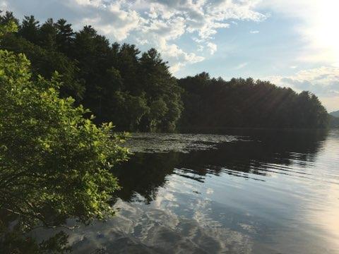 Forest Bathing Retreat at Houghton's Pond