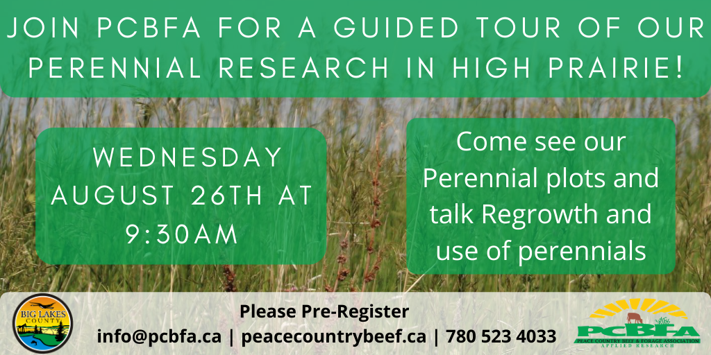 Morning Tour of the High Prairie Perennial Plots