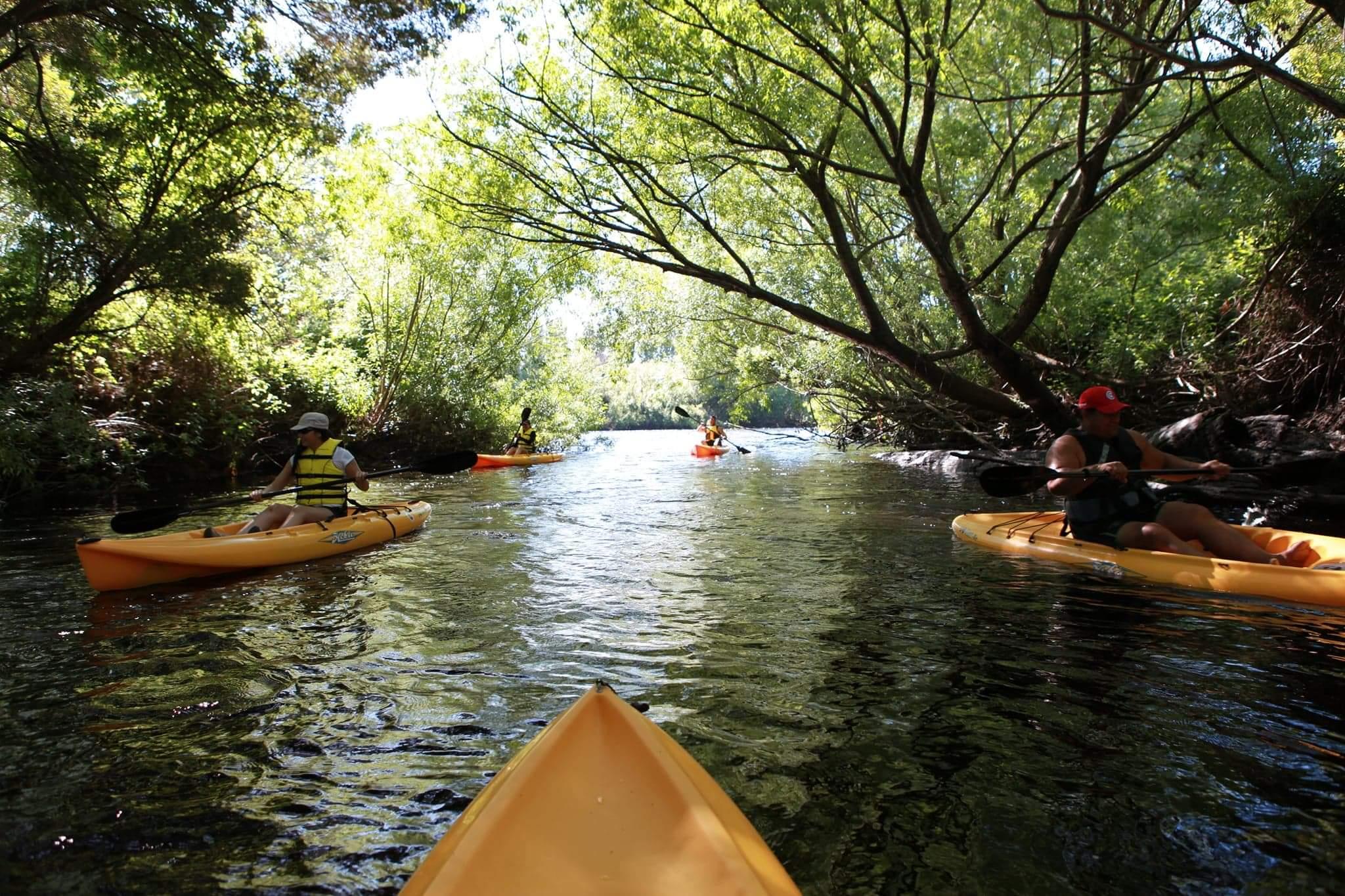Women's Introductory Paddle with the Platypus Kayak Adventure