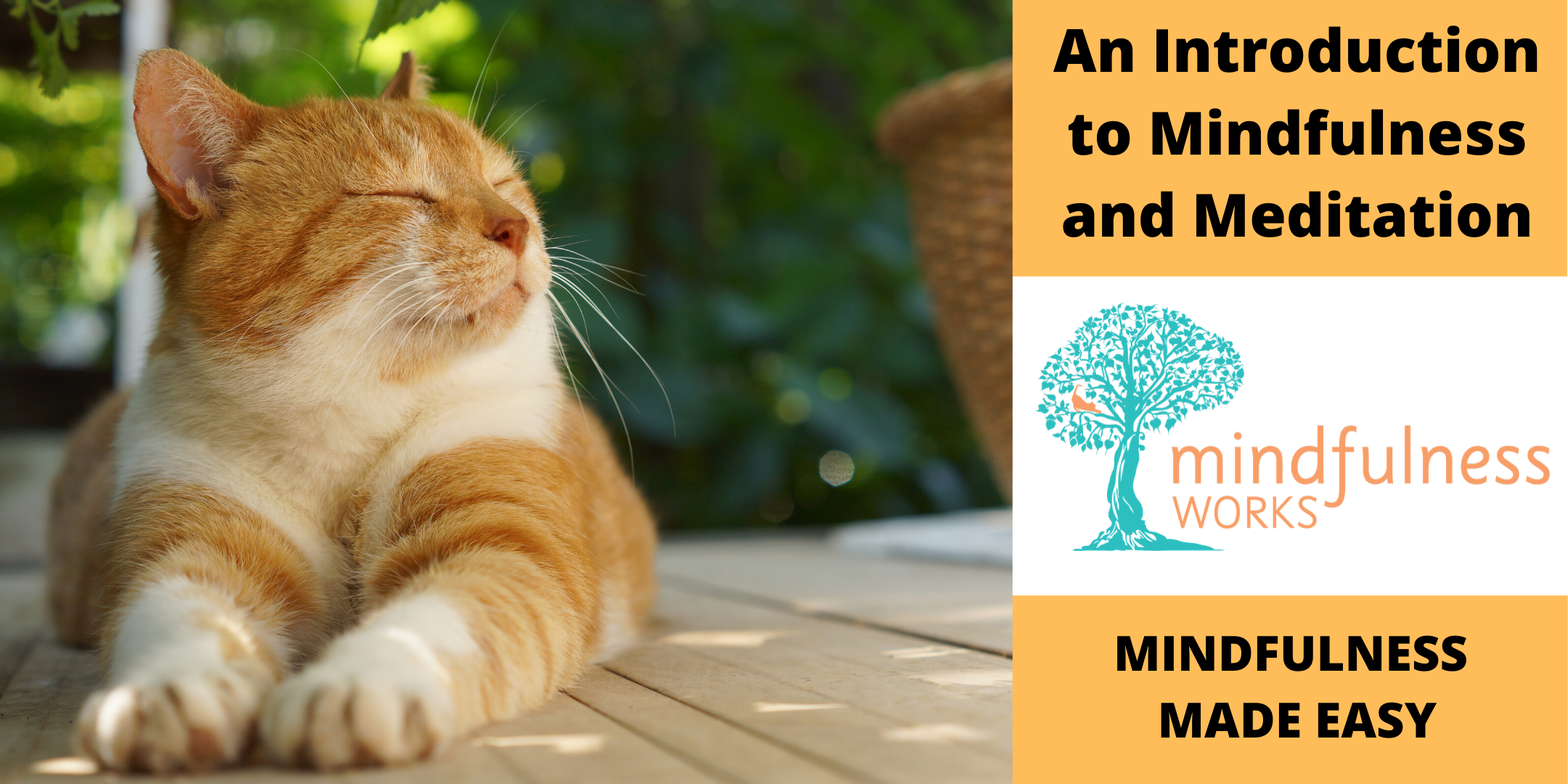 An Introduction to Mindfulness and Meditation 4-week Course  Zillmere