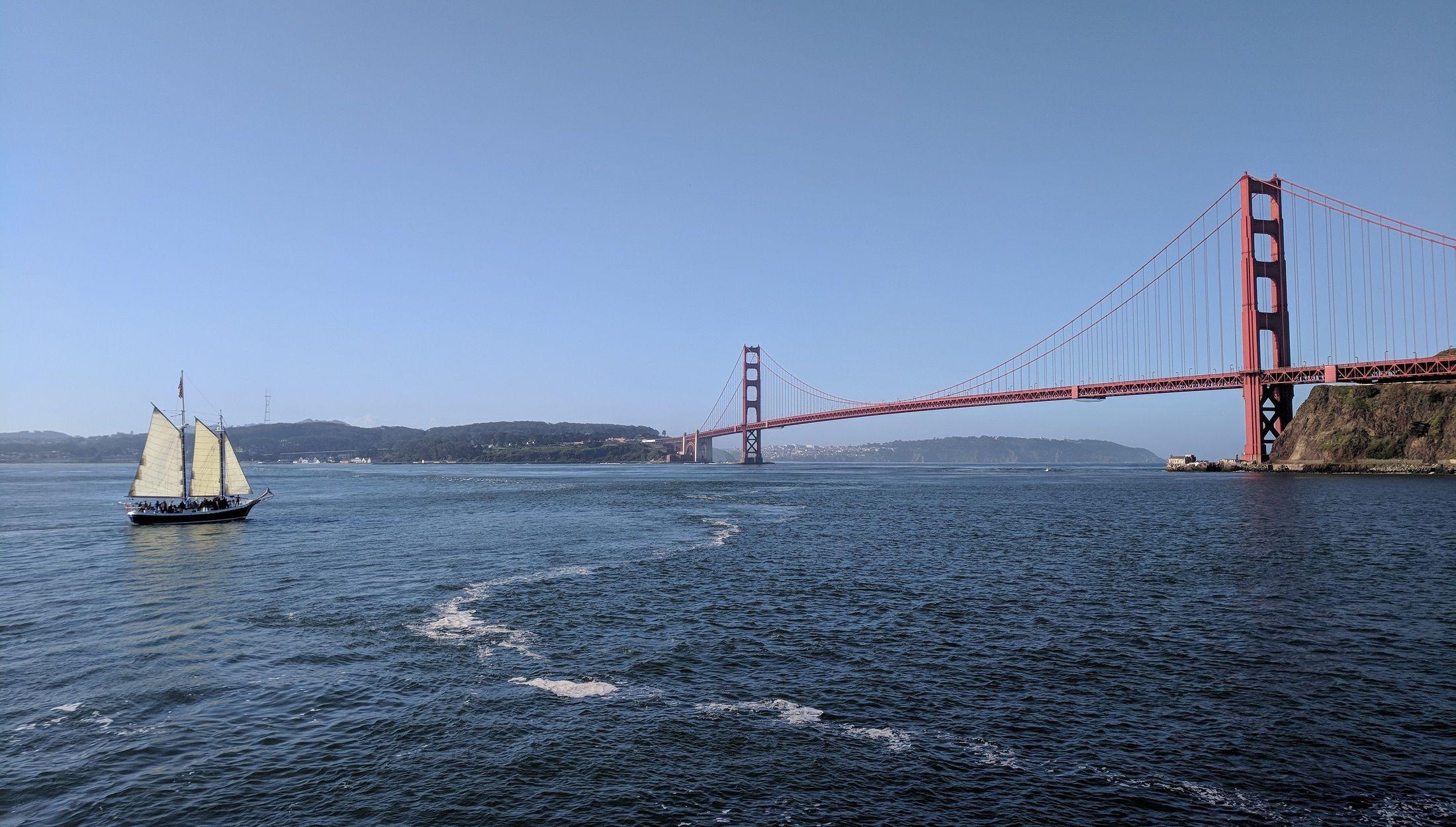 Marine Wildlife and Ecology - Sail under the Golden Gate Bridge