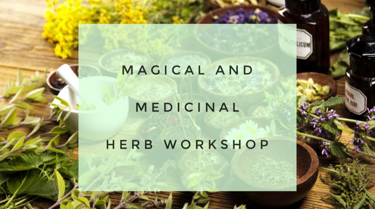 Magical and Medicinal Herbs Workshop