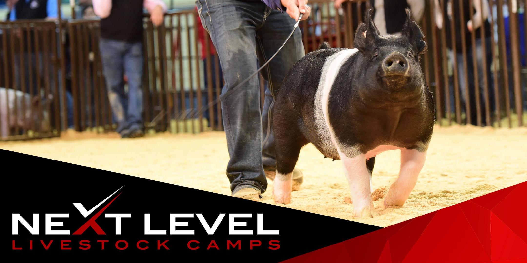 NEXT LEVEL SHOW PIG CAMP | September 11th & 12th | Hanford, California