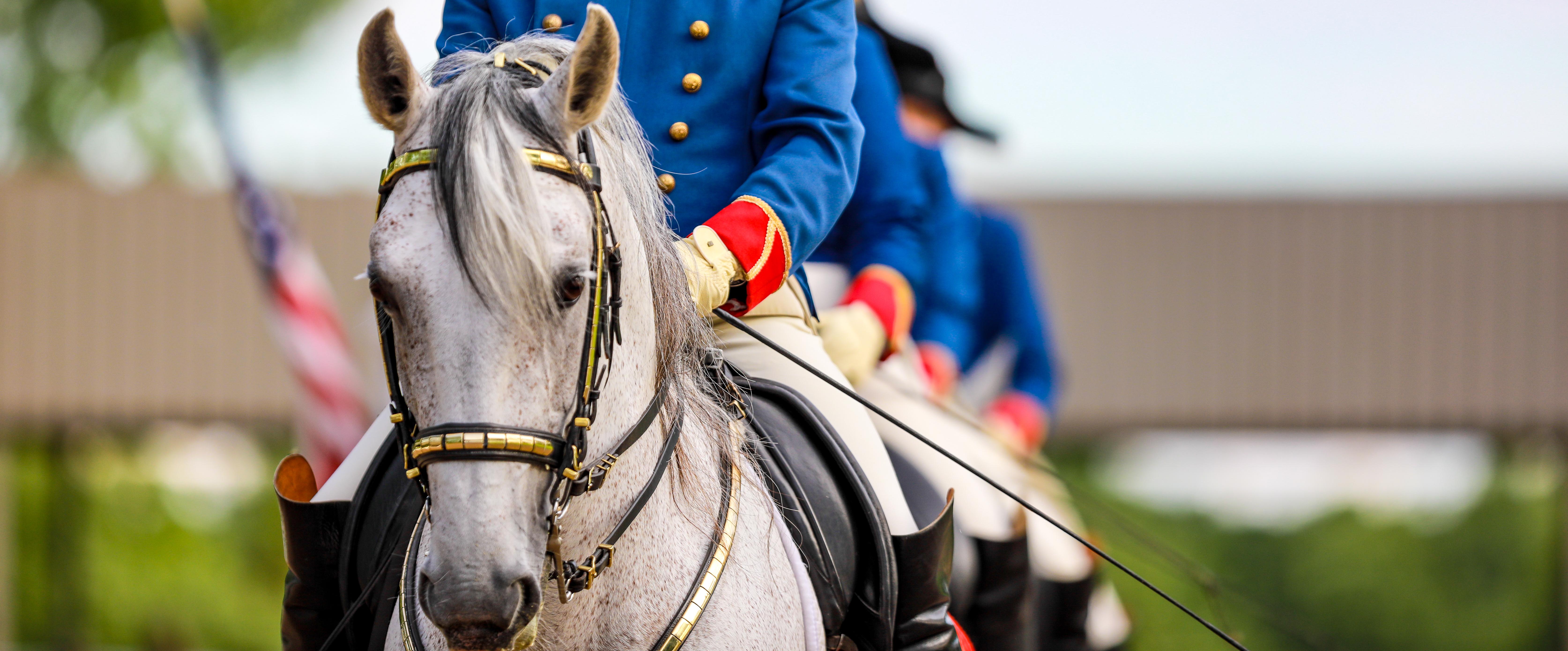 The Tempel Lipizzans Summer Spotlight Performance - Plus FOALS Presentation