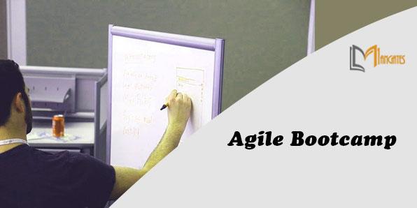Agile 3 Days Bootcamp in Denver, CO
