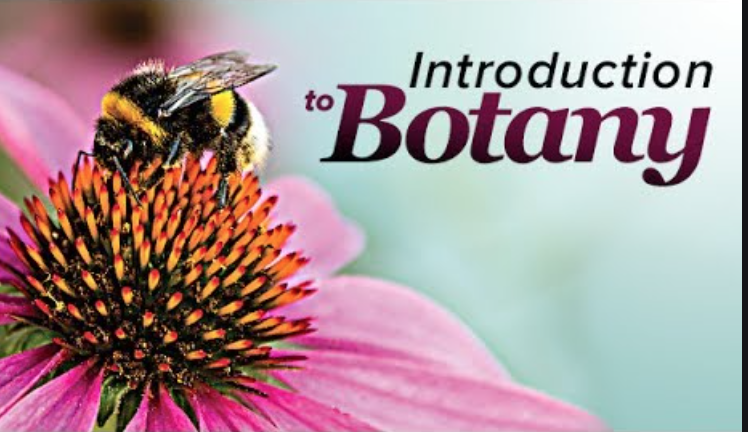 Free Botany 101 Workshop