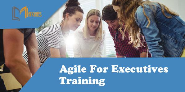 Agile For Executives 1 Day Training in York