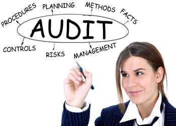 Becoming an Awesome New Auditor! - In-person Event